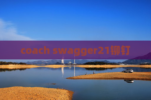coach swagger21铆钉